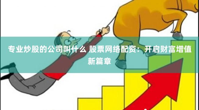专业炒股的公司叫什么 股票网络配资：开启财富增值新篇章
