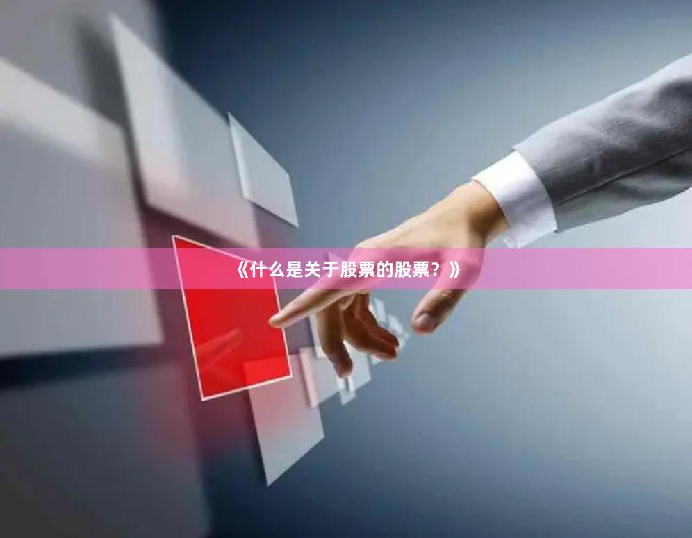 《什么是关于股票的股票？》